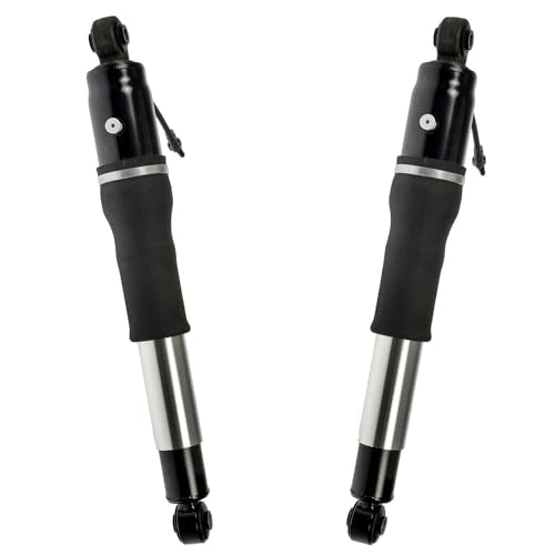 Detroit Axle - 4pc Front Struts Rear Shocks Kit for 15-19 Chevy Tahoe Suburban GMC Yukon Cadillac Escalade ESV, 2 Struts with Coil Spring 2 Shock Absorbers 2015 2016 2017 2018 2019 Replacement - size: 4AQ47996/ Big strut kit