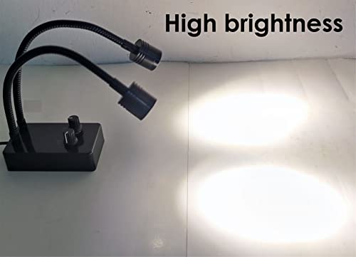 Microscope Light Source, USB Desk Dual Gooseneck Lights LED Mini Spot Light Illuminator for Stereo Microscope Camera Industrial Video Zoom C Mount Lens for Repair Soldering PCB Lab