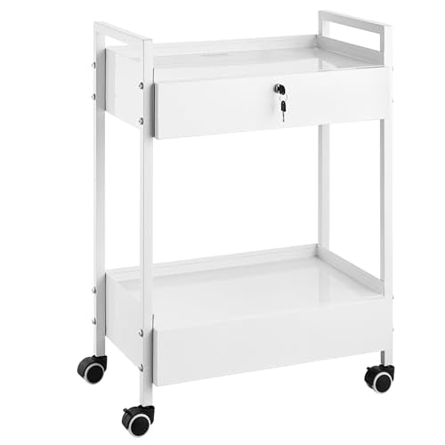 VEVOR Rolling Medical Cart with Lockable Drawer, White Paint Stainless Steel Utility Cart, 2 Tiers Mobile Esthetician Trolley Cart with Swivel Casters for Lab, Hospital, Dental, Salon and Beauty - size: 2-tier with 2 drawer