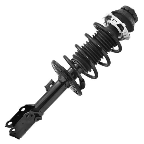 Detroit Axle - 2 Front Struts for 2006 2007 2008 Honda Fit, Struts with Coil Spring Quick Struts Complete Assembly Replacement Suspension - size: 11411_11412/Pair
