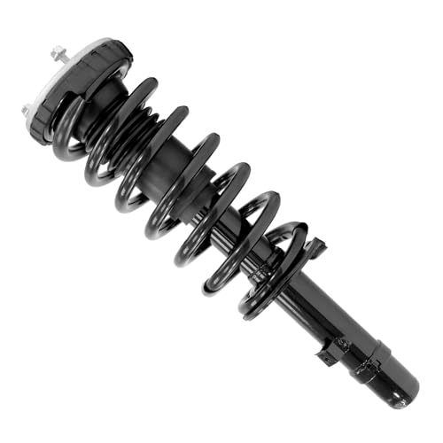 Detroit Axle - AWD Front Struts for 2015 2016 Hyundai Genesis 2017 G80, Struts with Coil Spring Complete Struts Assembly Replacement - size: 13591_13592/Pair