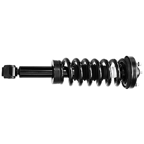 Detroit Axle - 4WD Pair Front Struts for 2009-2013 Ford F-150 Complete 2 | Struts w/Coil Spring Assembly 2010 2011 2012 Replacement Left Right Quick Install Ready Strut Shock - size: 171141-DA x2/PAIR