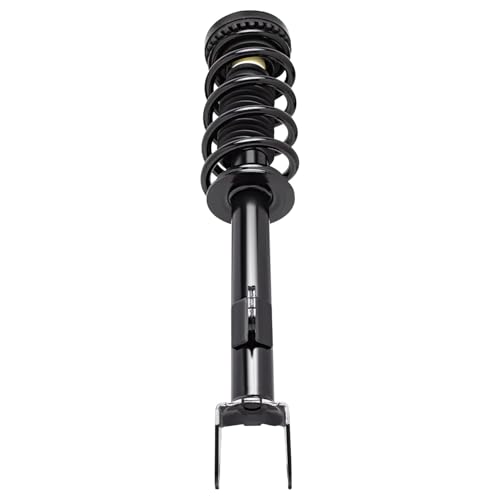 Detroit Axle - RWD Struts Shock Absorbers for 2012-2023 Dodge Challenger 2012-2017 2019-2023 Charger, 2 Front Complete Struts w/Coil Spring 2 Rear Shock Absorbers Replacement - size: 4AQ47473/ strut shock kit