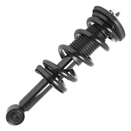 Detroit Axle - 2 Front Struts for 2012-2019 Nissan NV1500 NV2500 NV3500, Quick Complete Struts with Coil Spring Assembly 2013 2014 2015 2016 2017 2018 Replacement Suspension Ready Shocks - size: 11780x2/Pair