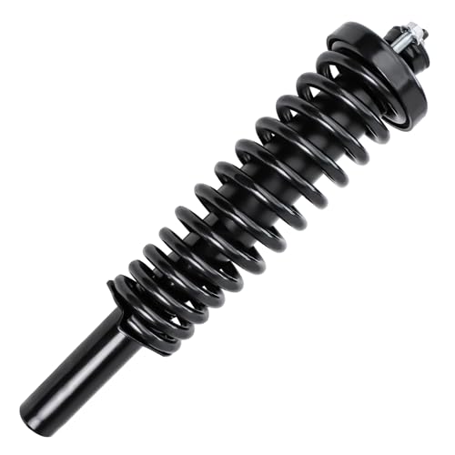 Detroit Axle - 2 Front Struts for 1996-2000 Honda Civic, 1997 1998 1999 Quick Complete Struts w/Coil Spring Assembly Replacement Suspension Shock - size: 171291L_171291R/PAIR