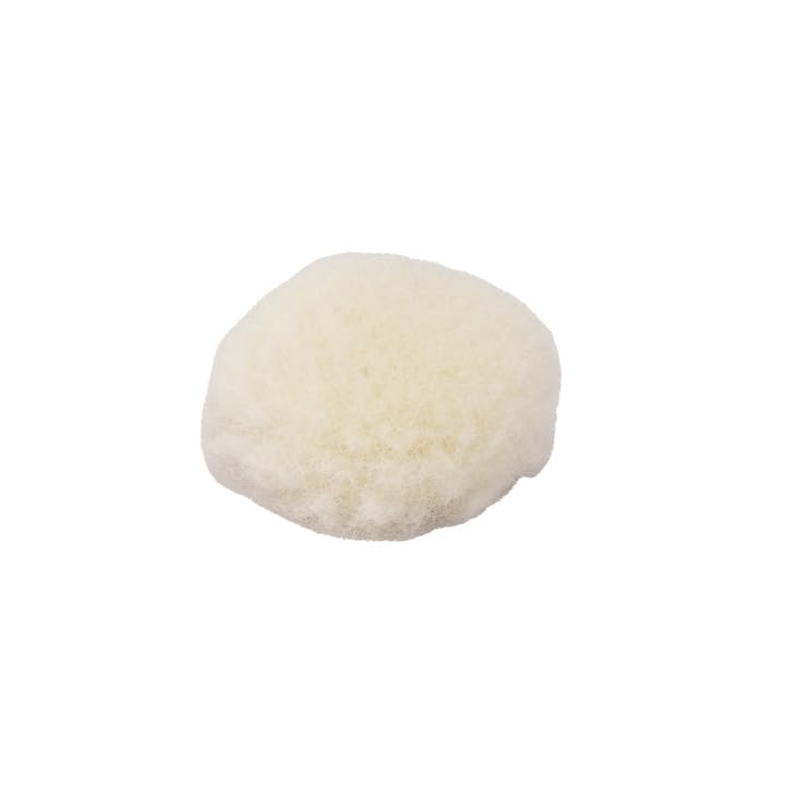 Maxshine Universal 10 Pieces MN01 Mini Polisher and Accessories - 2.5cm (0.98”) Long Wool Pads, Perfect for Buffing & Polishing Small Areas, Ideal for Professional Car Detailing - size: Long Wool Pad