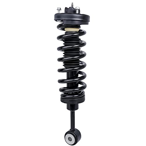 Detroit Axle - 2 Front Ready Struts for 2003-2006 Ford Expedition Lincoln Navigator 2004 2005 Complete Struts with Coil Spring Assembly Front Pair Strut Shock Set Replacement - size: 171369 x2/PAIR