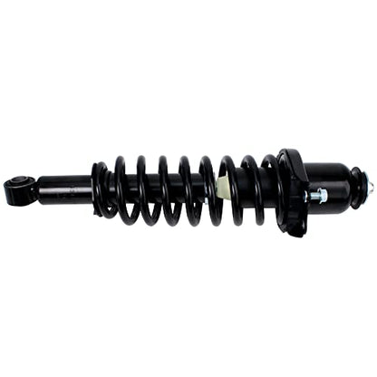 Detroit Axle - 2 Rear Struts for 2003-2008 Toyota Corolla Matrix Pontiac Vibe Complete Strut with Coil Spring 2004 2005 2006 2007 Replacement Quick Install Ready Struts Shocks Assembly - size: 171373L_171373R-DA/PAIR