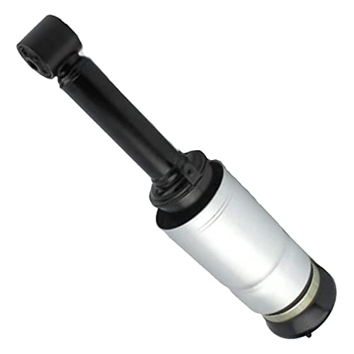 Detroit Axle - Pair Front Struts for 2010-2013 Land Rover Range Rover Sport [Supercharged] 2 Air Suspension Struts Assembly 2011 2012 Replacement Suspension - size: LR019993 x2/Pair