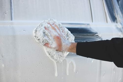 P&S Professional Detail Products Pearl Auto Shampoo – High-Foaming, pH-Balanced Car Wash Soap, Biodegradable, Safe for All Finishes, Lemon Scent, Foam Cannon & Bucket Wash - 1 Quart - size: 32 Fl Oz (Pack of 1)