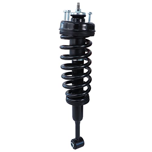 Detroit Axle - 2 Front Struts for 2006-2010 Ford Explorer Mercury Mountaineer Complete Struts w/Coil Spring 2007 2008 2009 Replacement Suspension Ready Strut Shock Assembly - size: 171124 x2/PAIR