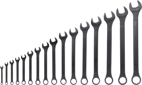 Neiko 03574A Jumbo Combination Wrench Set | 16 Piece | SAE | 1/4” to 1-1/4” | Raised Panel Construction - size: 16 Piece, style: SAE