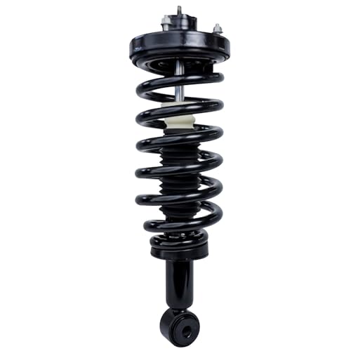 Detroit Axle - 2pc Rear Struts for 2003-2006 Ford Expedition Lincoln Navigator, 2 Complete Struts Shocks with Coil Spring Assembly 2003 2004 2005 2006 Replacement - size: 171370 x2/PAIR
