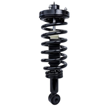 Detroit Axle - 2pc Rear Struts for 2003-2006 Ford Expedition Lincoln Navigator, 2 Complete Struts Shocks with Coil Spring Assembly 2003 2004 2005 2006 Replacement - size: 171370 x2/PAIR