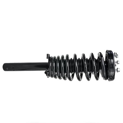Detroit Axle - 2 Front Struts for 1998-2002 Honda Accord 1999-2003 Acura TL 01-03 CL Complete 2 Struts with Coil Spring Assembly Replacement Quick Install Ready Strut Shocks - size: 171691L_171691R/PAIR