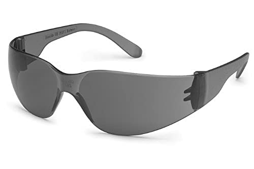 Gateway Safety 4680 UL-Certified StarLite Safety Glasses, Clear Lens, Clear Temple (Pack of 10) - color: Gray Lens/Gray Temple, size: 10-Pack