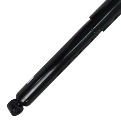 Detroit Axle - 4WD Struts for 1998 1999 2000 2001 2002 Ford Expedition Lincoln Navigator, Front & Rear Struts with Coil Spring Assembly Conversion Kit Replacement Suspension - size: 10336-4A-V1/Pair