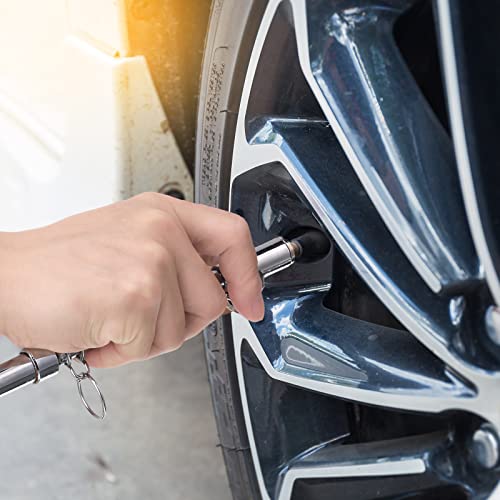 Tallew 10 Pack Dual Head Tire Pressure Gauge Heavy Duty Air Pressure Tire Gauge for Auto Truck Car RV Van Gage Range 10-150PSI, 1-10Bar (Silver) - color: Silver