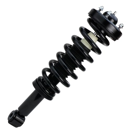 Detroit Axle - 2pc Front Struts for 2007-2013 Ford Expedition Lincoln Navigator, 2 Complete Struts & Coil Springs Assembly 2008 2009 2010 2011 2012 Quick Install Ready Strut Shock Assembly - size: 171138 x2/PAIR