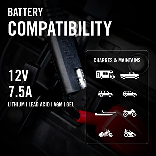 Battery Tender Ring Terminal Harness Accessory Cables 25 Pack - 18 inch Cord Adapter with SAE Quick Disconnect - Easy Quick Convenient for Motorcycles, Cars, ATVs and More - 081-0069-6-J25 - style: 25 Pack