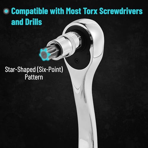 Bates Torx Bit Set - 13 Piece Socket Set, T8-T60, Star & Torx Bits - size: 13 pcs, T8-T60