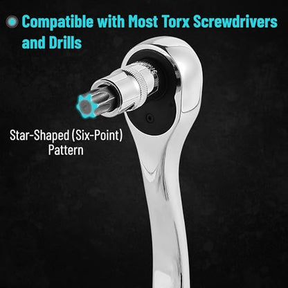 Bates Torx Bit Set - 13 Piece Socket Set, T8-T60, Star & Torx Bits - size: 13 pcs, T8-T60