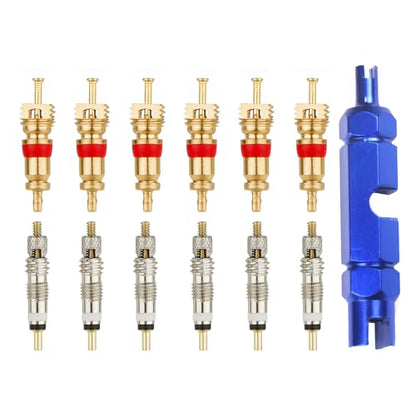 13 PCS Bicycle Valve Core Remover Tool Kit, Metal Bike Valve Cores Replacement with Repair Tightening Tool, Universal Tire Stem Core Kit Compatible with Presta & Schrader Valves