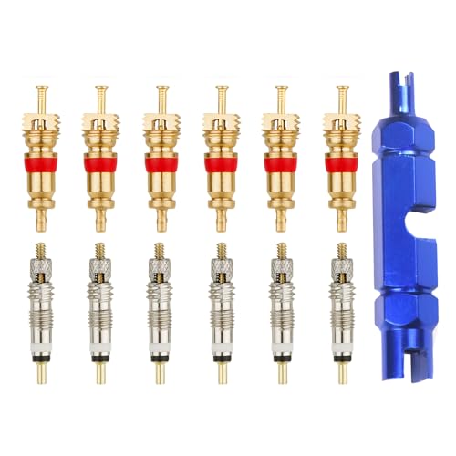 13 PCS Bicycle Valve Core Remover Tool Kit, Metal Bike Valve Cores Replacement with Repair Tightening Tool, Universal Tire Stem Core Kit Compatible with Presta & Schrader Valves