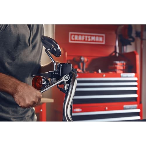 CRAFTSMAN Ratcheting Wrench Set, Metric, 11-Piece (CMMT87021)