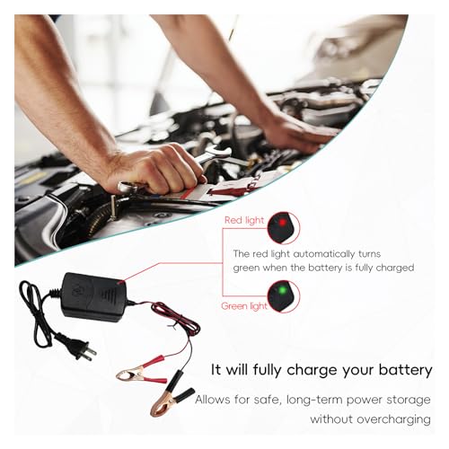 Dickno Car Battery Charger, 12V Multipurpose Lead Acid Automotive Charger with Crocodile Clip and Power Indicator, Smart Vehicle Battery Charger for Car, Motorcycle, Boat and More