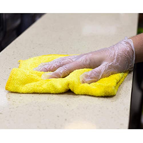 Karat [Large - 1,000 ct] Clear Vinyl Disposable Gloves, Powder-Free, Great Fit, Tear-Resistant for Multi-Purpose (FP-GV1008) - color: Clear, size: Large