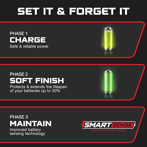 FORM 36 Volt Golf Cart Battery Charger for EZGO TXT Golf Carts with D-Style Plug - 36V 18AMP for Lead Acid, LiFePO4, Lithium Batteries - Waterproof Design - size: Lead Acid, Lithium & AGM