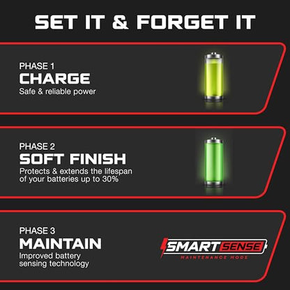 FORM 36 Volt Golf Cart Battery Charger for EZGO TXT Golf Carts with D-Style Plug - 36V 18AMP for Lead Acid, LiFePO4, Lithium Batteries - Waterproof Design - size: Lead Acid, Lithium & AGM