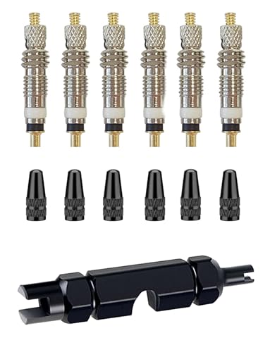 Presta Valve Core Bike Valve Core Removal Tool MTB Tire Valve Stem Repair, Bicycle Valve Core Replacements Set, Presta & Schrader Valve Stem Remover Tool Kit - color: Black Bronze