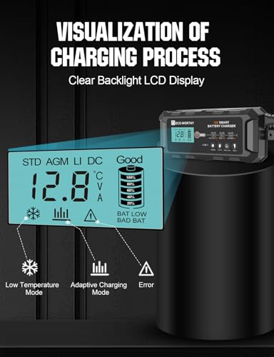 ECO-WORTHY 10A LiFePO4 Battery Charger 12V, Smart Lithium Battery Charger & Maintainer, Trickle Charger and Desulfator for Lead Acid, RV, Car, Motorcycle, Marine, Boat