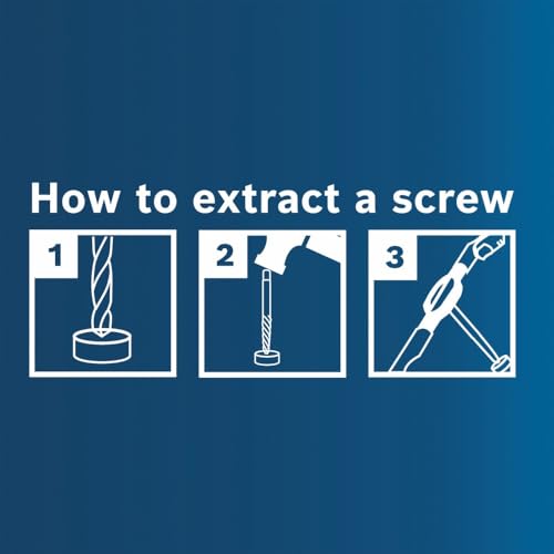 Bosch BSPE6D 12 pc. High-Carbon Steel Spiral Flute Screw Extractor Set - size: Assorted, style: Industrial