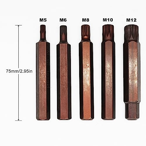 12 Point Torx Screwdriver Bit 10mm Hex Shank 75mm Length H10x75LxM5/M6/M8/M10/M12 Screw Bit(5Pcs)