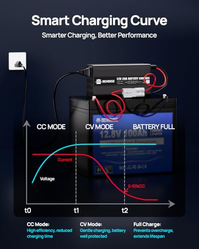 DC House 12V 20A Lithium Battery Charger, 14.6V LiFePO4 Charger with Battery Quick Connector & LED Indicator, Smart 300W Fast Charging for 12V Boat/RV Battery, Solar Systems, Off Grid, Homes