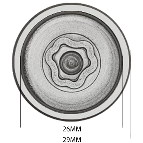 079 Wheel Locking Nut Key for BMW Mini, Socket (OD 29mm-ID 26mm) | Wheel Lock Nut Socket Adapter, Anti-Theft Lug Nut Removal Tool, Anti-Theft Screw Remover, Repair Tool, Tyre Fitting, garage - size: Socket 079