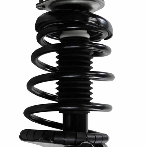 Detroit Axle - AWD Front Struts for 2002 2003 2004 Nissan Pathfinder Complete Struts with Coil Spring Assembly Replacement - size: 171441_171442/PAIR