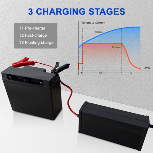 24V Lithium Battery Charger 29.2V 10A LiFePO4 Battery Charger for Lithium Iron Phosphate Battery, AC-DC Smart Charger, Battery Maintainer, Built-in Safety Protections, Support 0V Charging Function - color: 29.2V 10A