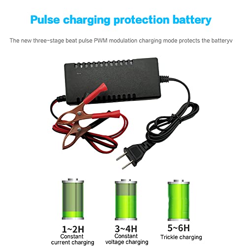 SaiDian 1Pcs 12V Battery Charger Maintainer Trickle RV 14.6V 3A for Car Truck Motorcycle 12 V Lithium Iron Phosphate LiFePO4 Battery Recharging