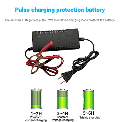 SaiDian 1Pcs 12V Battery Charger Maintainer Trickle RV 14.6V 3A for Car Truck Motorcycle 12 V Lithium Iron Phosphate LiFePO4 Battery Recharging