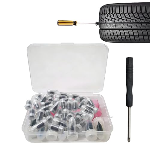 Tire Repair Rubber Nails Kit, 2026 New Vacuum Tire Repair Rubber Nail, Screw in Tire Repair Plugs, Fast Self-Service Tire Repair Tools for Car, Motorcycle, Truck, Two Sizes (60pcs(with screwdriver)) - color: 60pcs(with screwdriver)