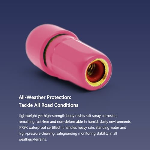 RideNow Tire Pressure Monitoring System T1, Accurate Tire Pressure Detection, Long Battery Life, Support APP/Garmin Cycling Computers Display for Road & MTB Cycling Safety - color: Pink