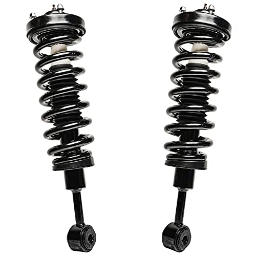 Detroit Axle - 2 Front Struts for 4WD 2004-2008 Ford F-150, 06-08 Lincoln Mark LT [w/o Spacer] Complete Struts with Coil Spring 2005 2006 2007 Replacement Quick Install Ready Strut Shock Assembly - size: 171361 x2/PAIR
