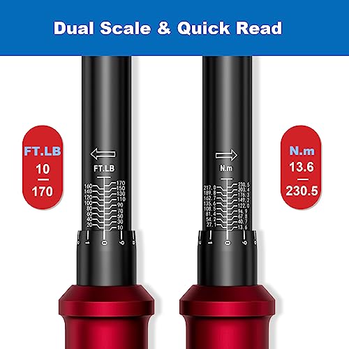 SUERCUP Next-Gen 100-Tooth, 1/2" Drive Click Torque Wrench, 10-170 Ft.Lb | 13.6-230.5 N.m, ±3% Accuracy, 3.6° Arc Swing Tool for Truck/SUV Suspension, Heavy Duty Control Arms, Lug Nuts & Auto Repair - size: (100Tooth) 1/2" 10-170 Ft.Lb/13.6-230.5 N.m
