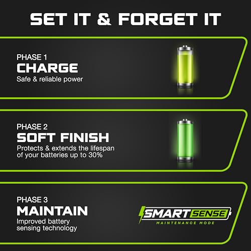 FORM 36 Volt Golf Cart Battery Charger for EZGO TXT Golf Carts with D Style Plug - 36V Lithium, LiFePO4, Lead Acid - size: Elite - Lithium & Lead Acid