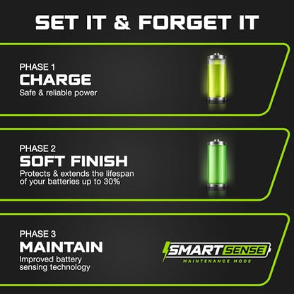 FORM 36 Volt Golf Cart Battery Charger for EZGO TXT Golf Carts with D Style Plug - 36V Lithium, LiFePO4, Lead Acid - size: Elite - Lithium & Lead Acid