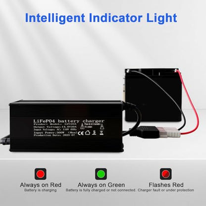 12V 20A Lithium Battery Charger 14.6V LiFePO4 Battery Charger, AC-DC Smart Charger with Anderson Connector LED Indicator, Built-in Safety Protections, Support 0V Charging Function - color: 14.6V 20A